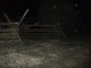 This picture was taken as we were driving down the driveway of a bed and breakfast. The driveway was gravel and we can see the flash formed orbs around the dust in the air.