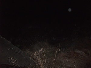 Here's a lone orb we picked up down in the slaughter pen near Devil's Den. I took this picture and there was nothing visible to the naked eye before I captured this. There was a creek rushing among the boulders in the distance, however. Which would indicate the orb was most likely moisture.